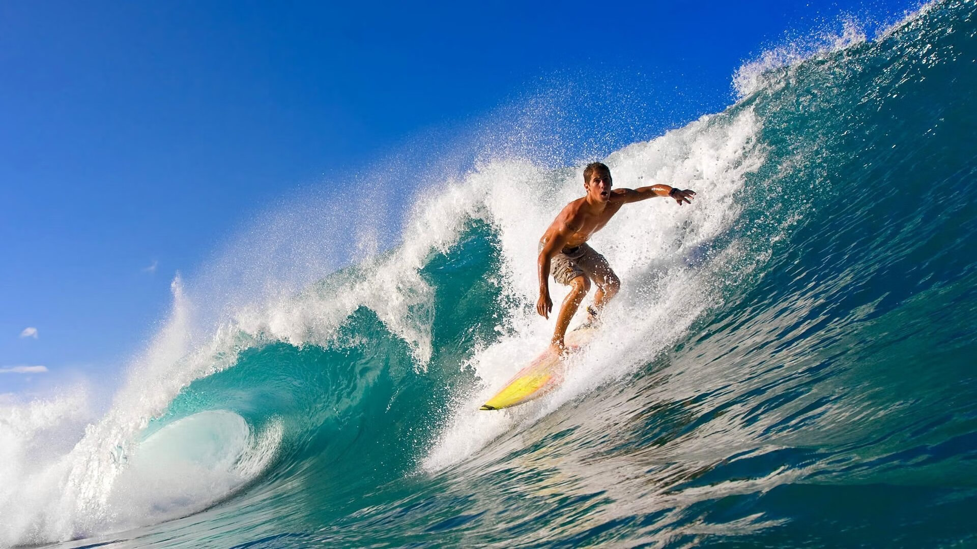 樊振东赢球魅力十足，多特蒙德教练抢合影留念，樊振东的启蒙教练